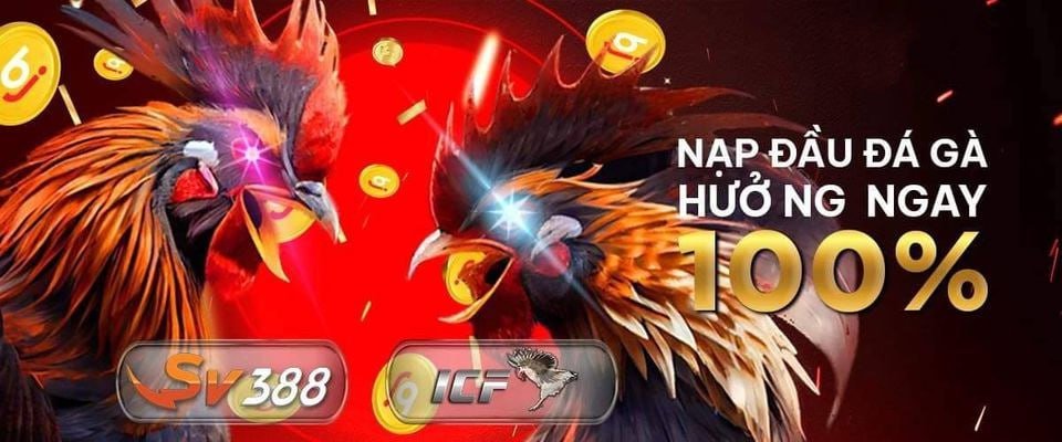 Trang đá gà thomo 888 uy tín