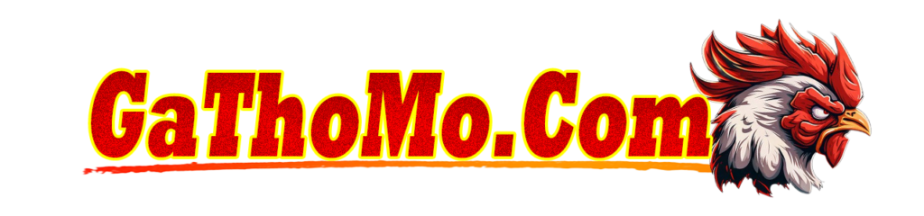 Gathomo – Trang đá gà Thomo uy tín khu vực Châu Á….